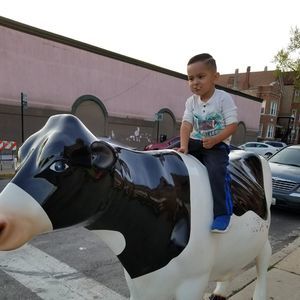 Meet your Posher, Benjamin